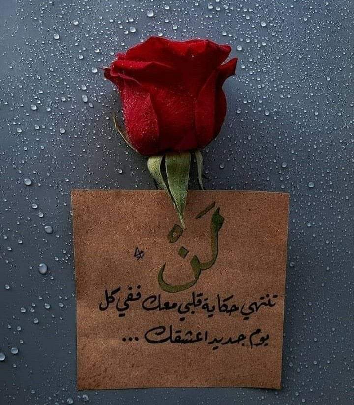 Nesren Laham_o8bFx